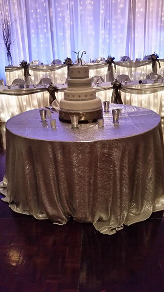 The Falls Reception and Conference Center Wedding Page Image